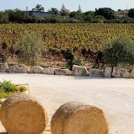 Riofavara Winery In Val Di Noto * Ispica